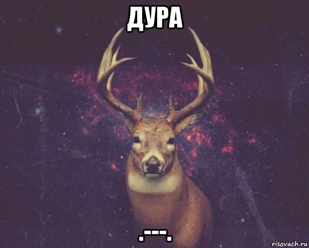 дура .---.