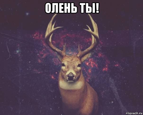 олень ты! , Мем  олень наивный