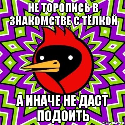 не торопись в знакомстве с тёлкой а иначе не даст подоить, Мем Омская птица