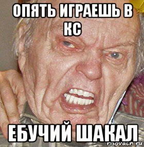 опять играешь в кс ебучий шакал, Мем опять начинаешь ибучий шакал