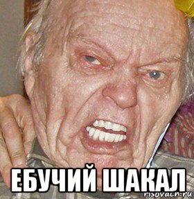  ебучий шакал, Мем опять начинаешь ибучий шакал