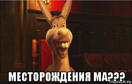  месторождения ма???, Мем Осел из Шрека