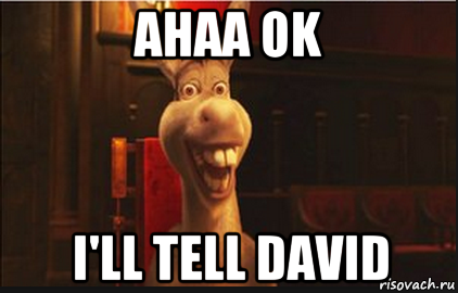 ahaa ok i'll tell david, Мем Осел из Шрека