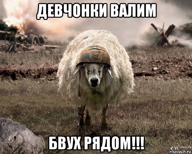 девчонки валим бвух рядом!!!