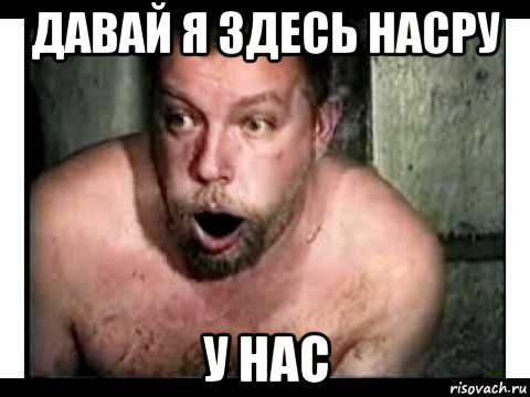 давай я здесь насру у нас