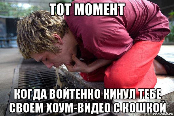 тот момент когда войтенко кинул тебе своем хоум-видео с кошкой