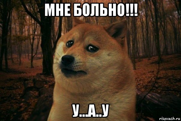 мне больно!!! у...а..у, Мем SAD DOGE