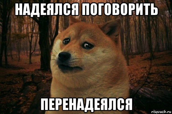 надеялся поговорить перенадеялся, Мем SAD DOGE