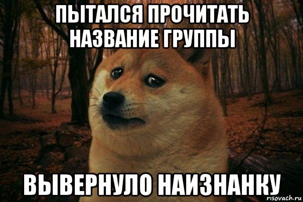 пытался прочитать название группы вывернуло наизнанку, Мем SAD DOGE