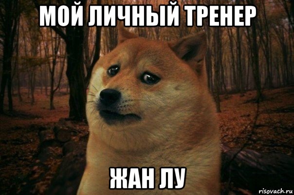 мой личный тренер жан лу, Мем SAD DOGE