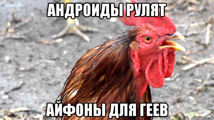 андроиды рулят айфоны для геев