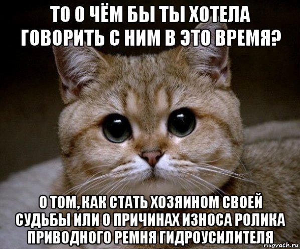 то о чём бы ты хотела говорить с ним в это время? о том, как стать хозяином своей судьбы или о причинах износа ролика приводного ремня гидроусилителя, Мем Пидрила Ебаная