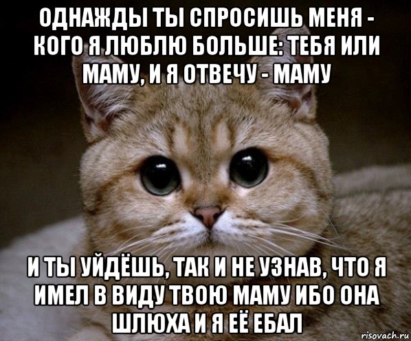 однажды ты спросишь меня - кого я люблю больше: тебя или маму, и я отвечу - маму и ты уйдёшь, так и не узнав, что я имел в виду твою маму ибо она шлюха и я её ебал, Мем Пидрила Ебаная