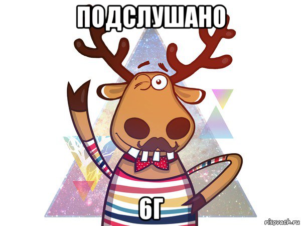 подслушано 6г