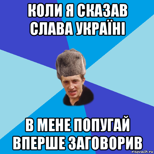 коли я сказав слава україні в мене попугай вперше заговорив, Мем Празднчний паца