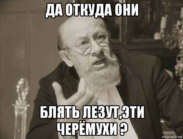да откуда они блять лезут,эти черёмухи ?