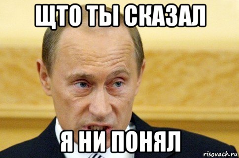 щто ты сказал я ни понял, Мем путин