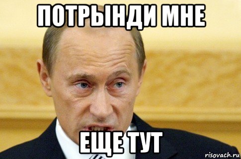 потрынди мне еще тут, Мем путин