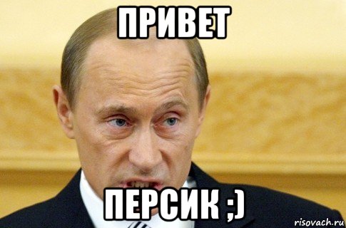 привет персик ;), Мем путин