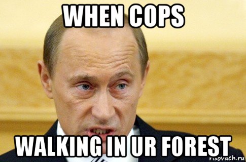 when cops walking in ur forest, Мем путин