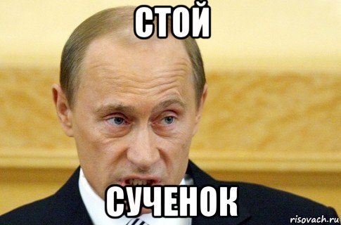 стой сученок, Мем путин