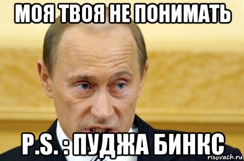 моя твоя не понимать p.s. : пуджа бинкс, Мем путин