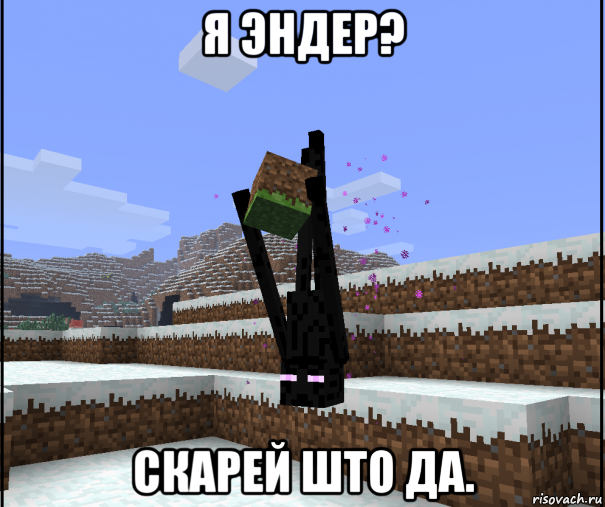 я эндер? скарей што да.