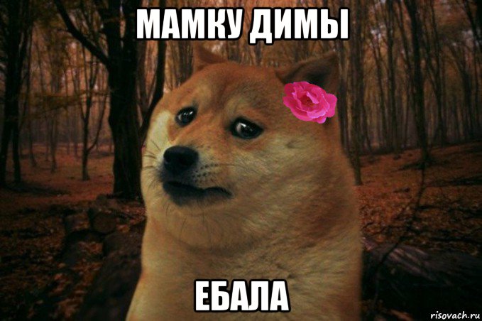 мамку димы ебала, Мем  SAD DOGE GIRL