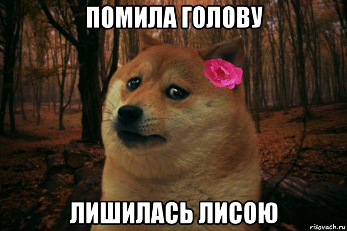 помила голову лишилась лисою, Мем  SAD DOGE GIRL