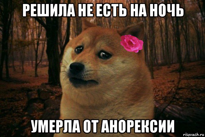 решила не есть на ночь умерла от анорексии, Мем  SAD DOGE GIRL