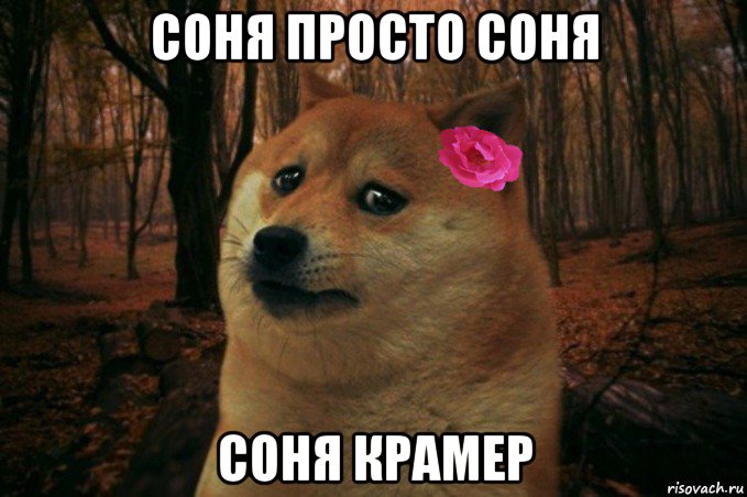 соня просто соня соня крамер, Мем  SAD DOGE GIRL