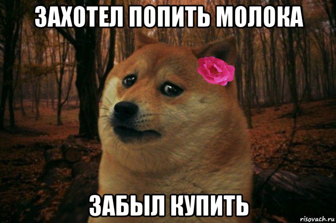 захотел попить молока забыл купить, Мем  SAD DOGE GIRL