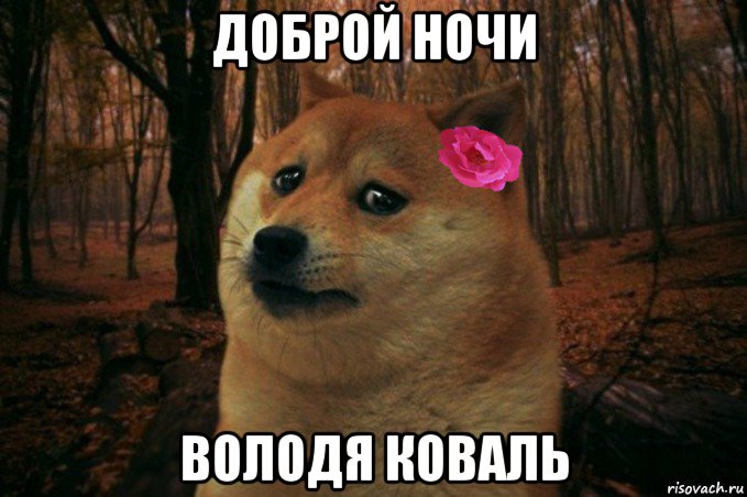 доброй ночи володя коваль, Мем  SAD DOGE GIRL