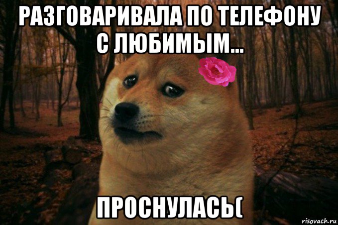 разговаривала по телефону с любимым... проснулась(, Мем  SAD DOGE GIRL