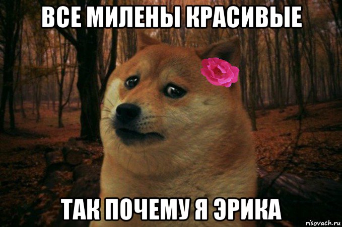 все милены красивые так почему я эрика, Мем  SAD DOGE GIRL