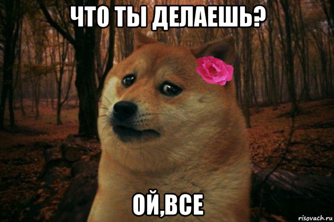 что ты делаешь? ой,все