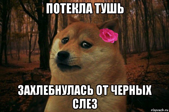 потекла тушь захлебнулась от черных слез, Мем  SAD DOGE GIRL