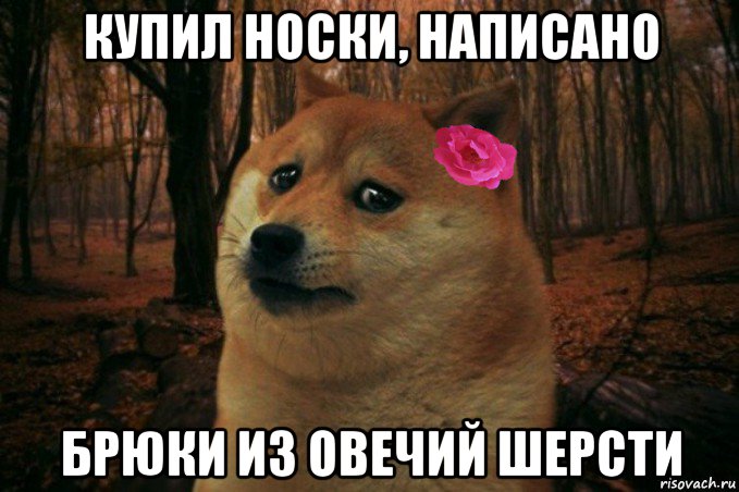 купил носки, написано брюки из овечий шерсти, Мем  SAD DOGE GIRL