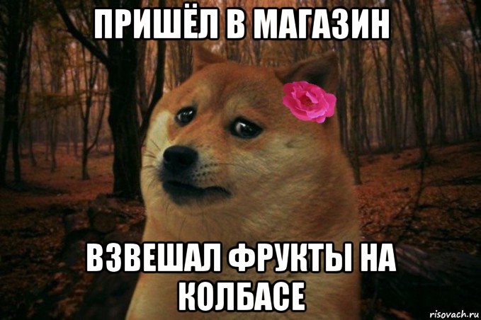 пришёл в магазин взвешал фрукты на колбасе, Мем  SAD DOGE GIRL