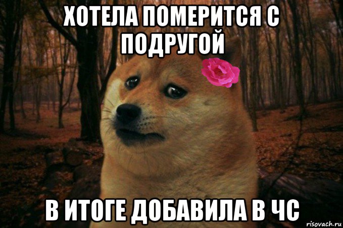 хотела померится с подругой в итоге добавила в чс, Мем  SAD DOGE GIRL