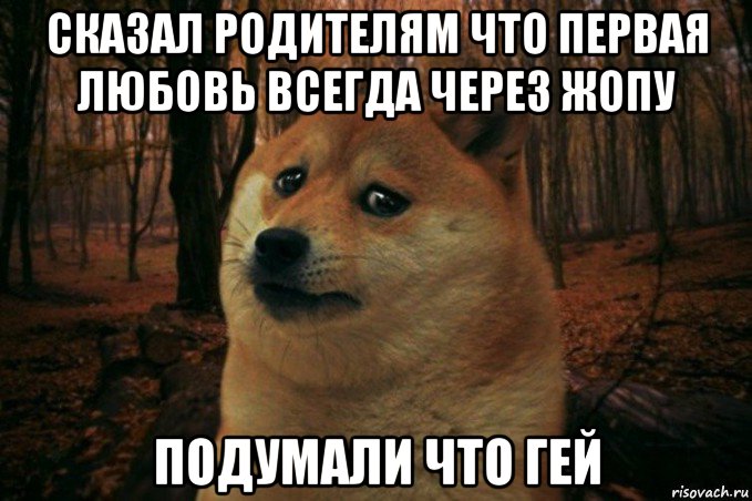 сказал родителям что первая любовь всегда через жопу подумали что гей, Мем SAD DOGE