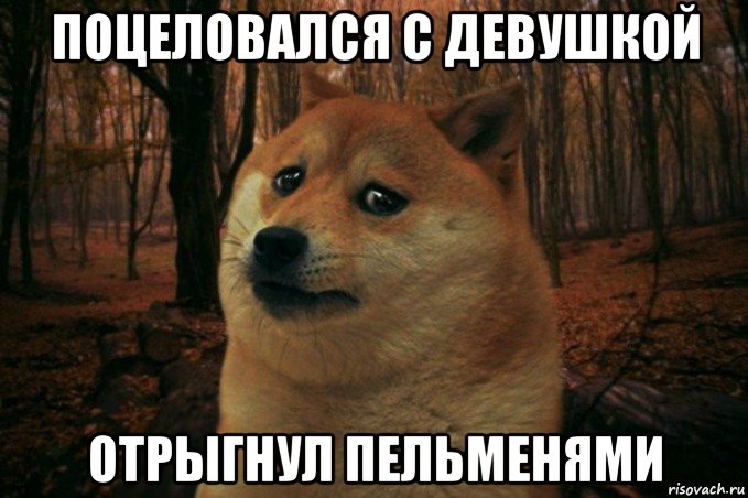 поцеловался с девушкой отрыгнул пельменями, Мем SAD DOGE