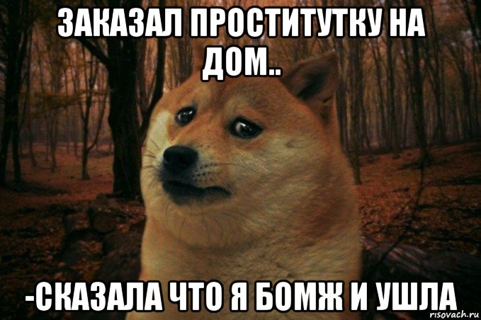 заказал проститутку на дом.. -сказала что я бомж и ушла, Мем SAD DOGE