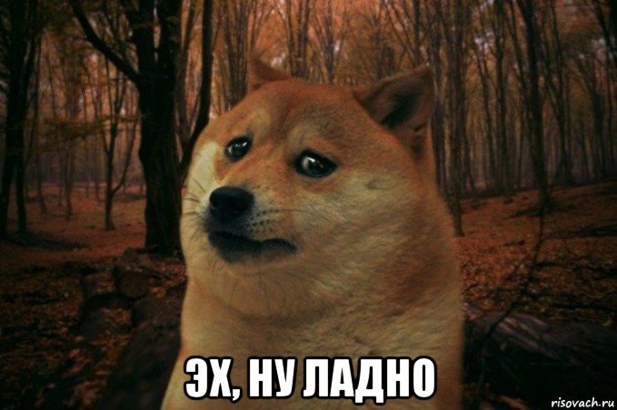  эх, ну ладно, Мем SAD DOGE