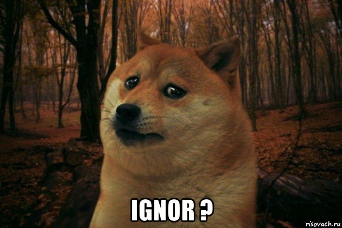  ignor ?, Мем SAD DOGE