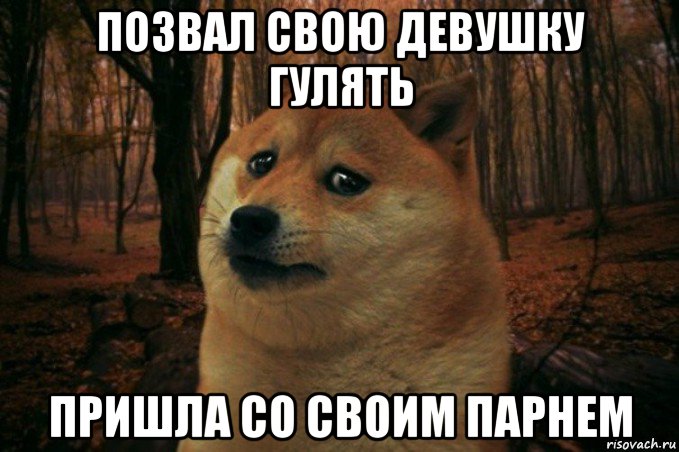 позвал свою девушку гулять пришла со своим парнем, Мем SAD DOGE