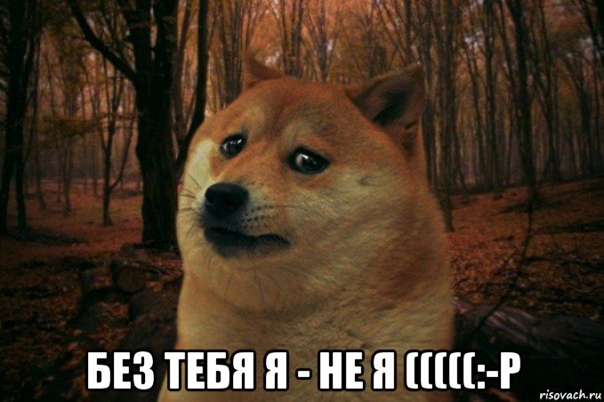  без тебя я - не я (((((:-р, Мем SAD DOGE