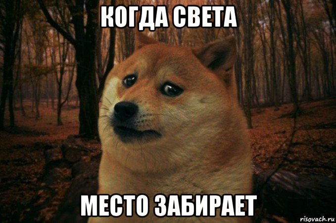 когда света место забирает, Мем SAD DOGE