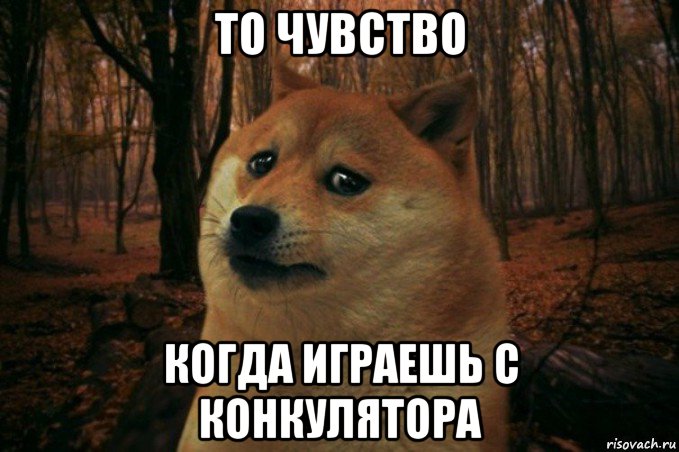 то чувство когда играешь с конкулятора, Мем SAD DOGE