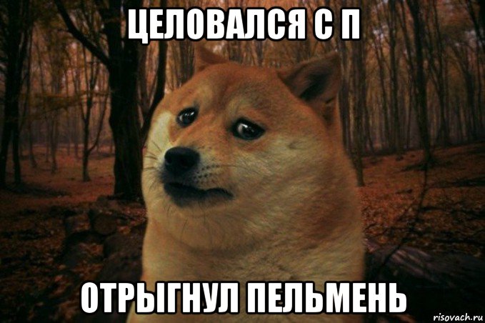 целовался с п отрыгнул пельмень, Мем SAD DOGE